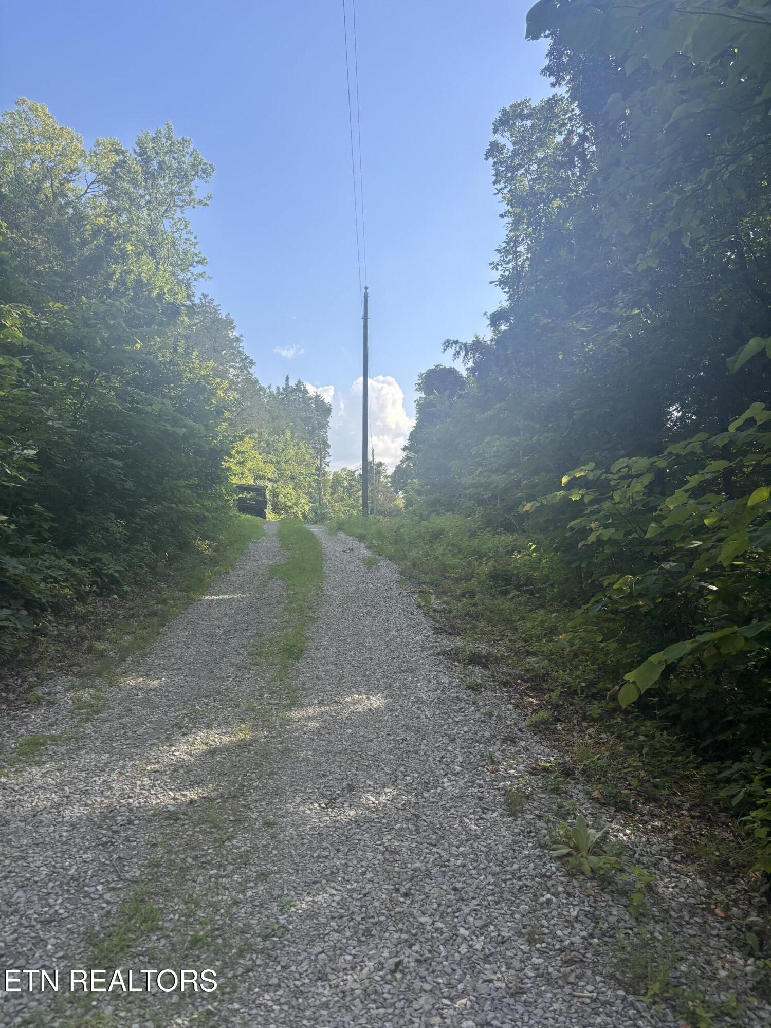 Image 2: IMG_5383