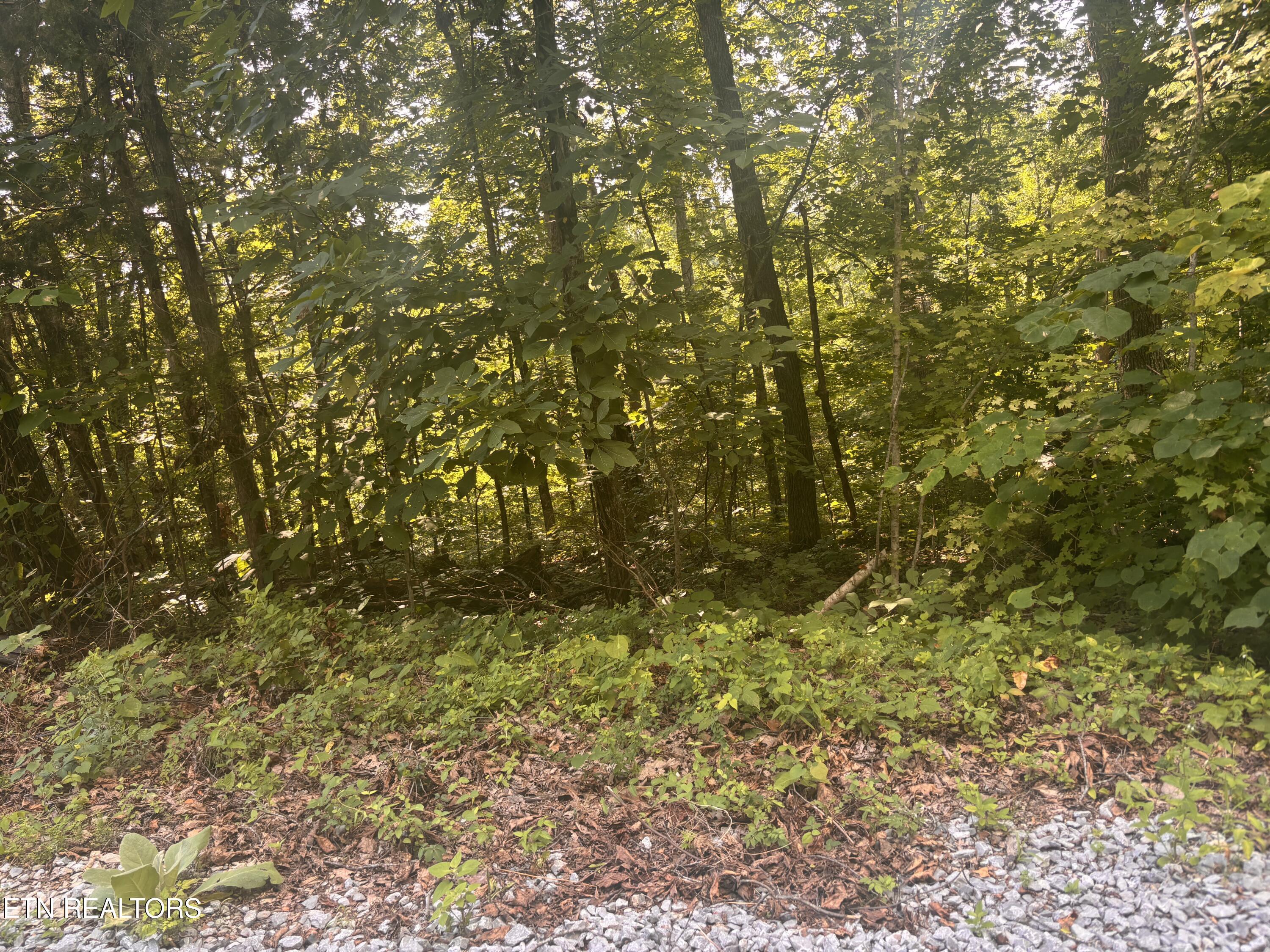 Image 3: IMG_5384