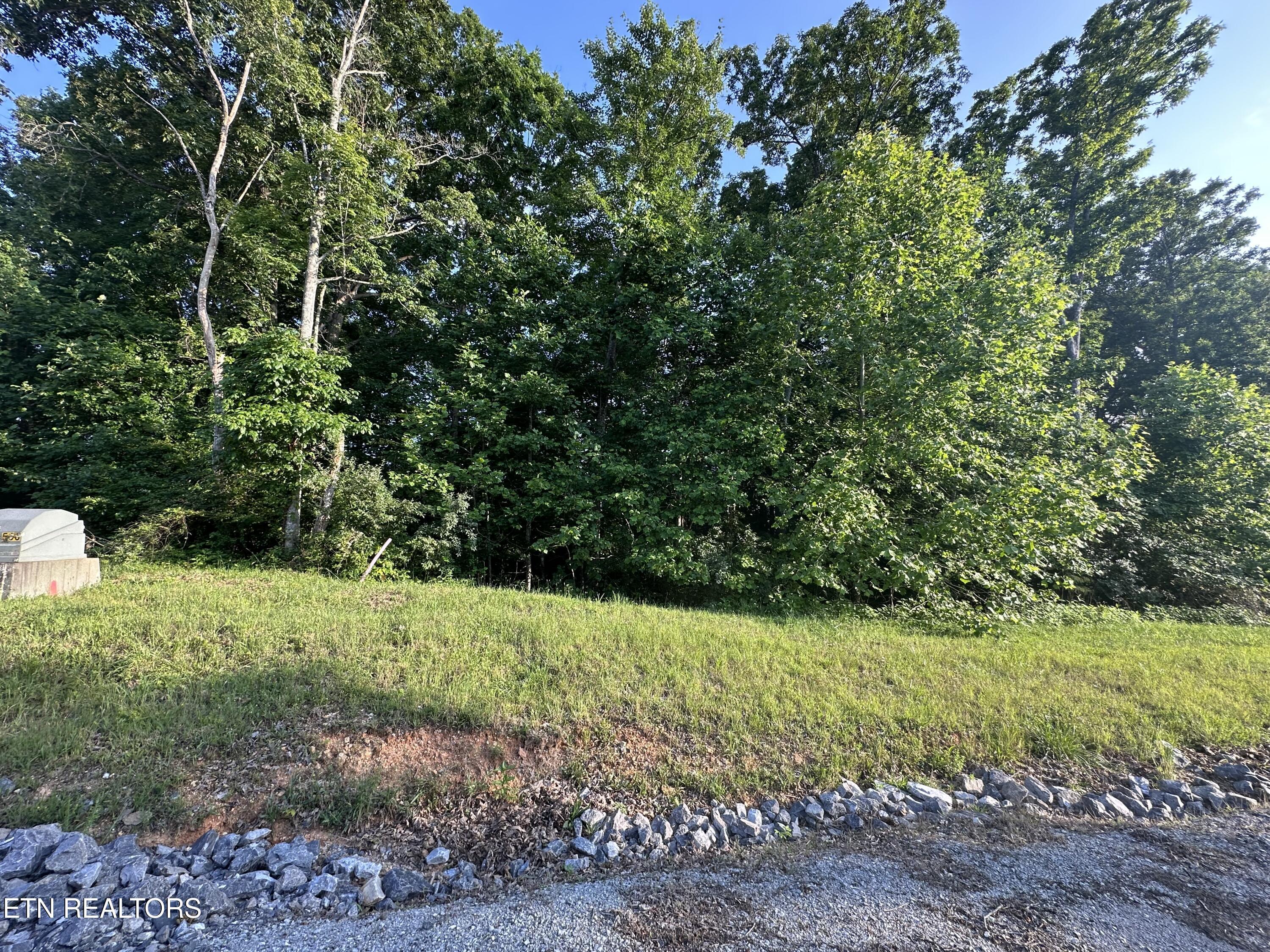 Image 3: IMG_1558