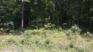 36 Broken Arrow Drive 199