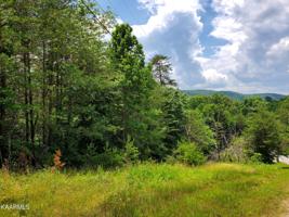 Lot 342 Lick Branch Rd