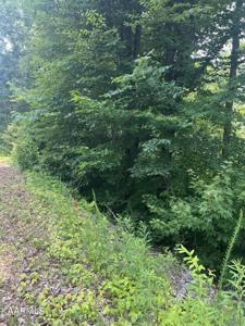 Lot 45 Walleye Point