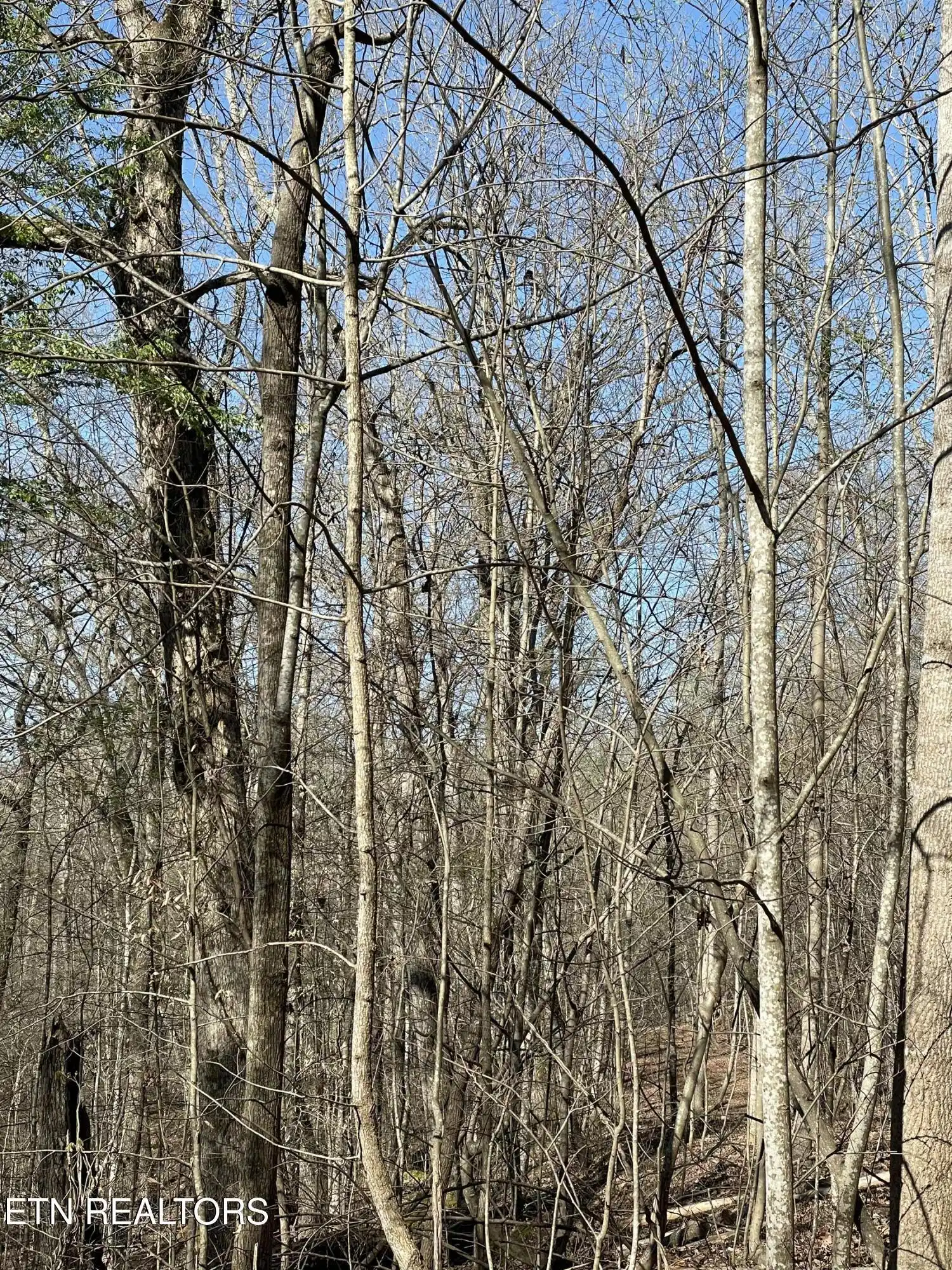Image 1: land5