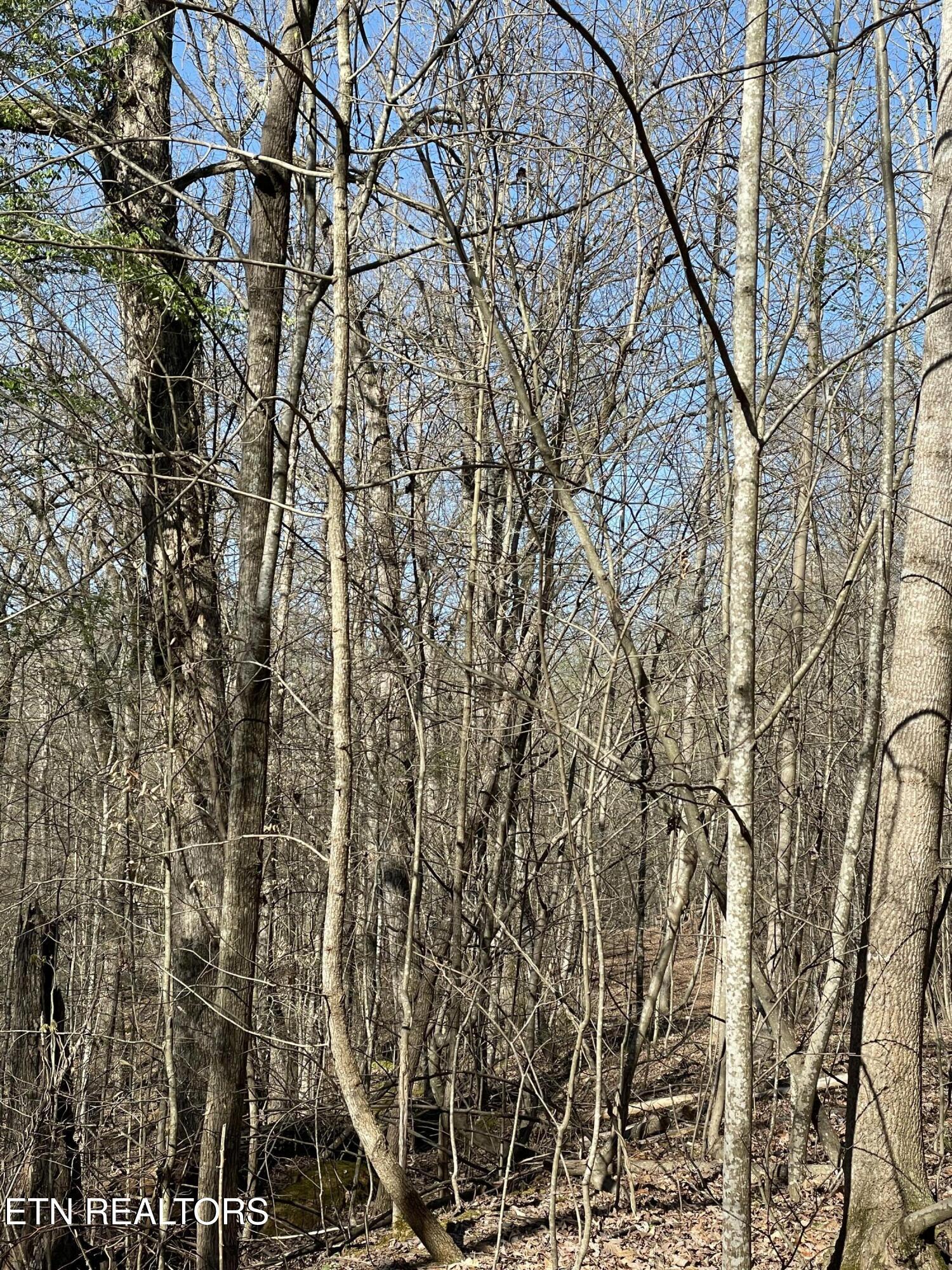 Image 3: land3