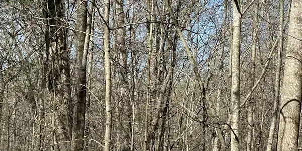 Image 3: land3