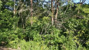 437 Igoti Lane 31