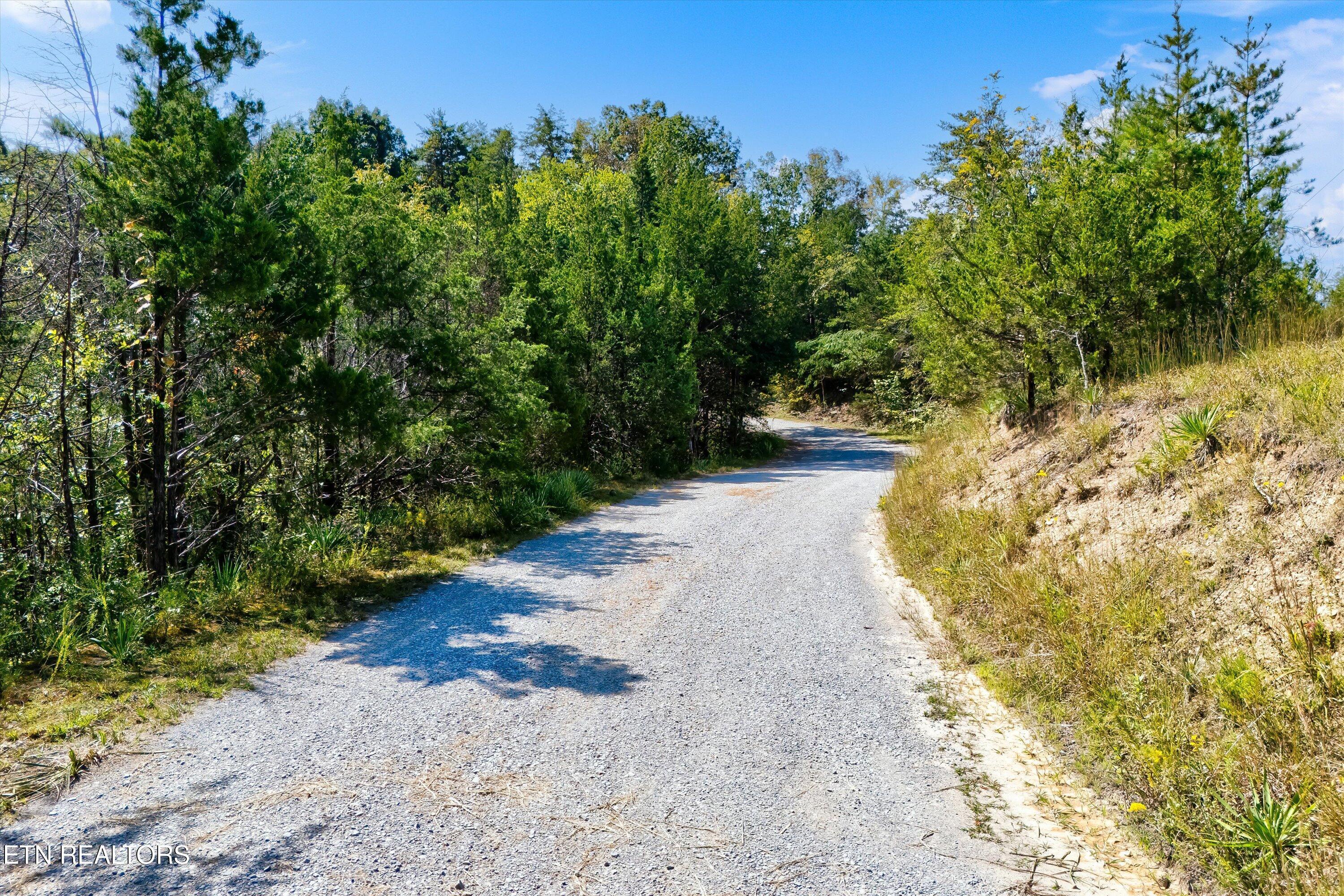 Image 2: 38-Flat Creek Rd-38