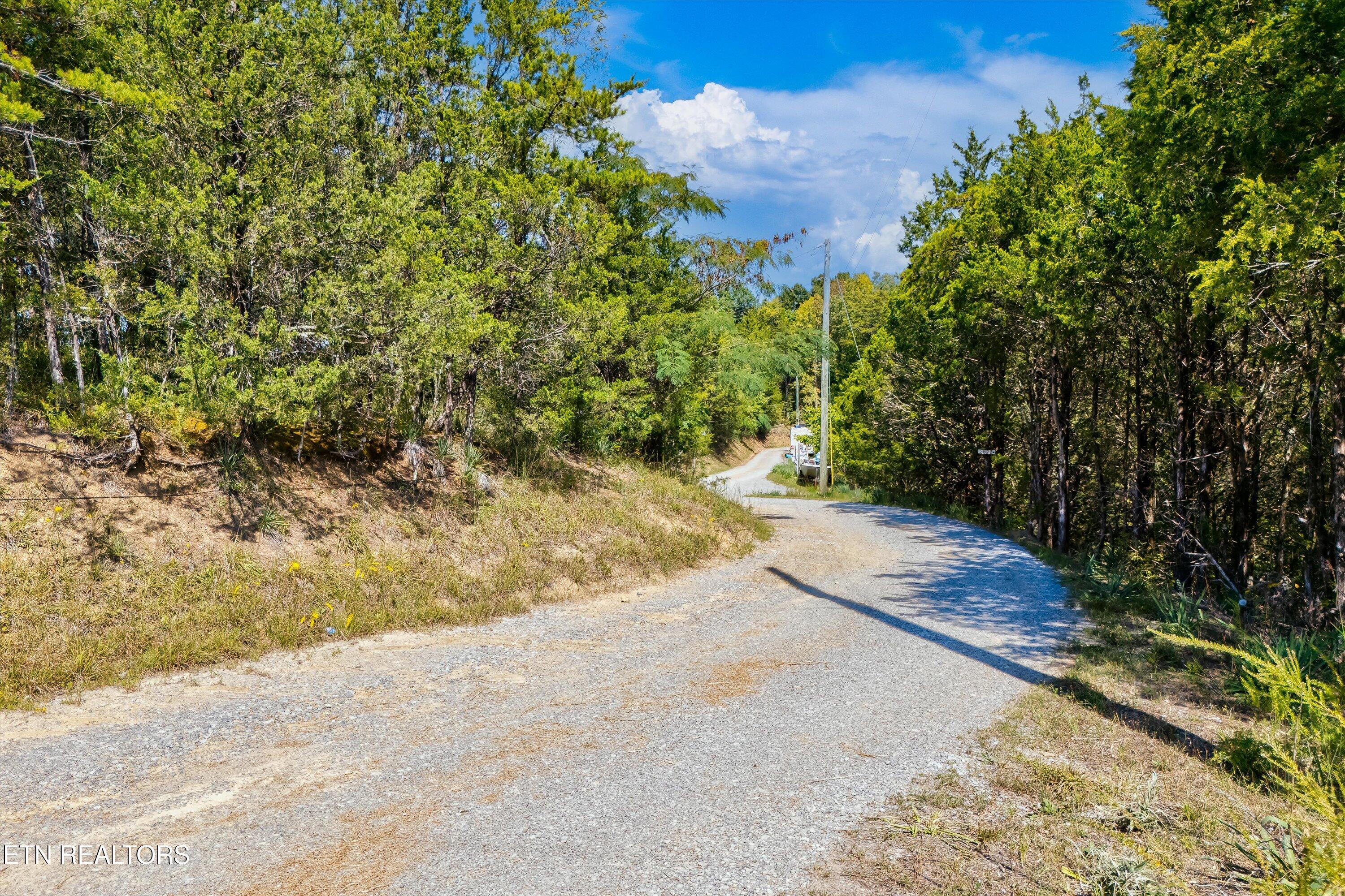 Image 3: 37-Flat Creek Rd-37