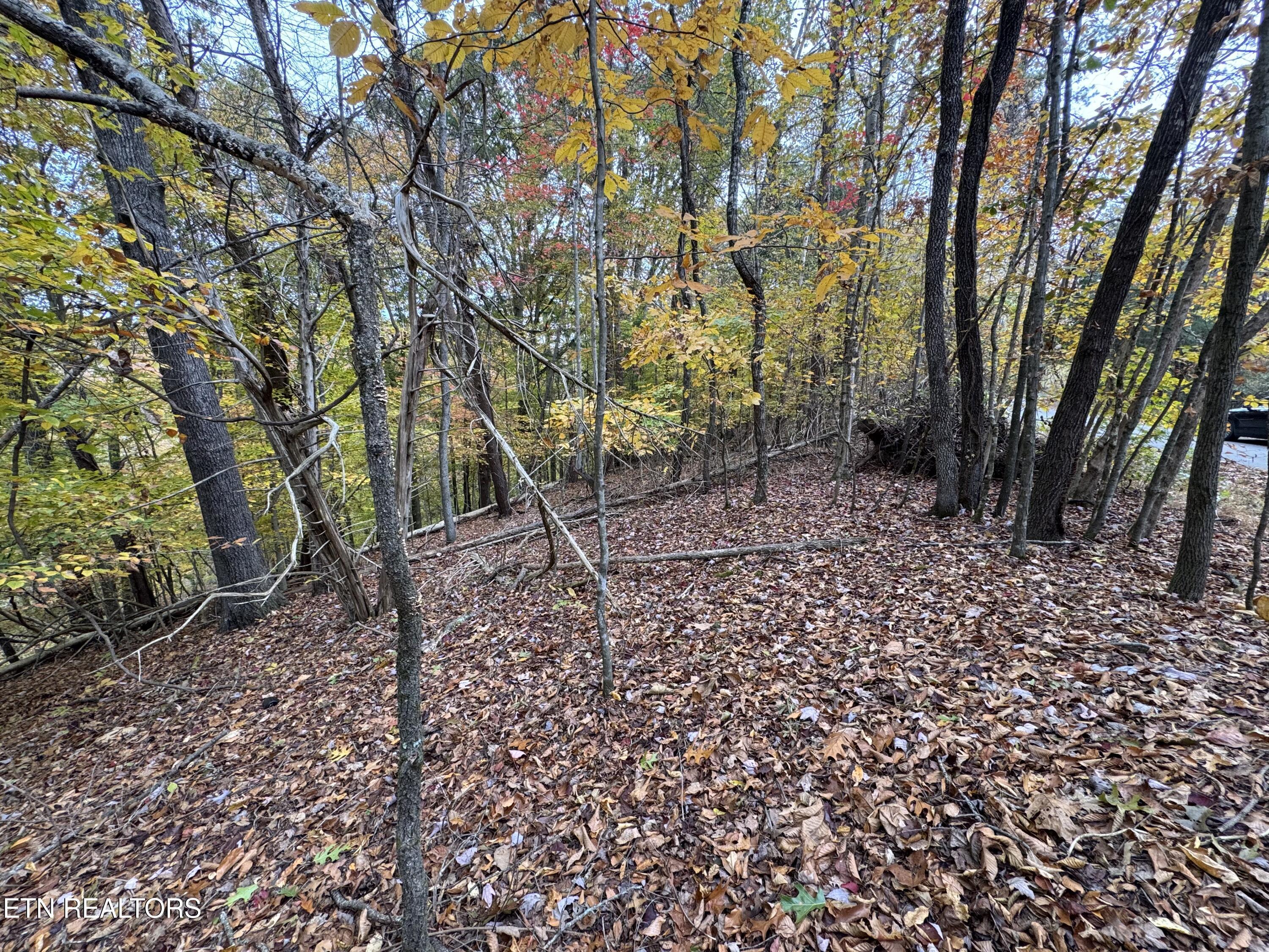Image 3: IMG_1132
