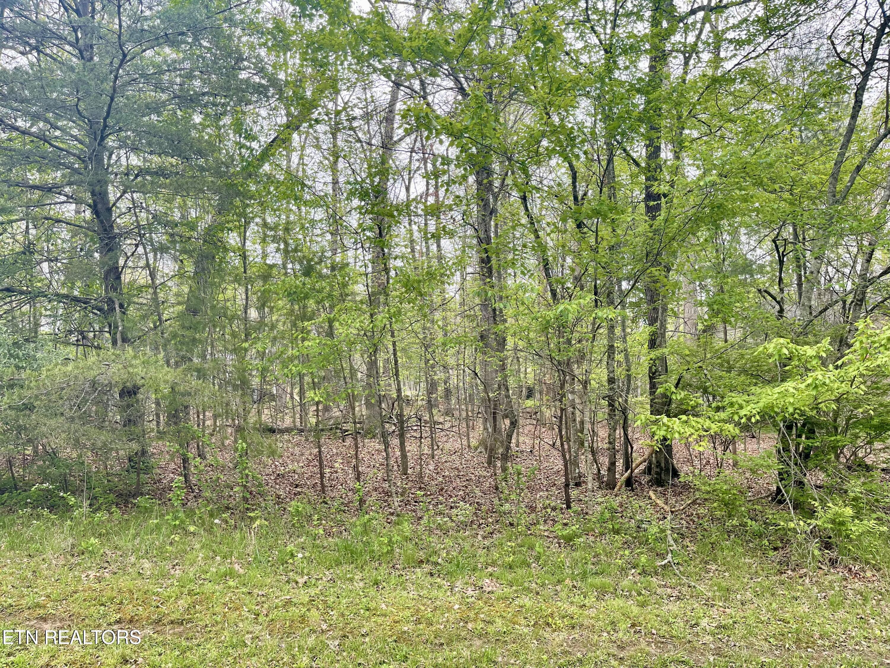 Image 1: 111 Rutgers Circle