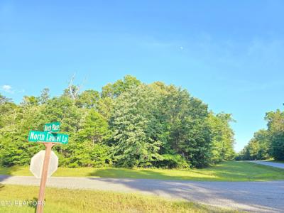 0 N Laurel Loop