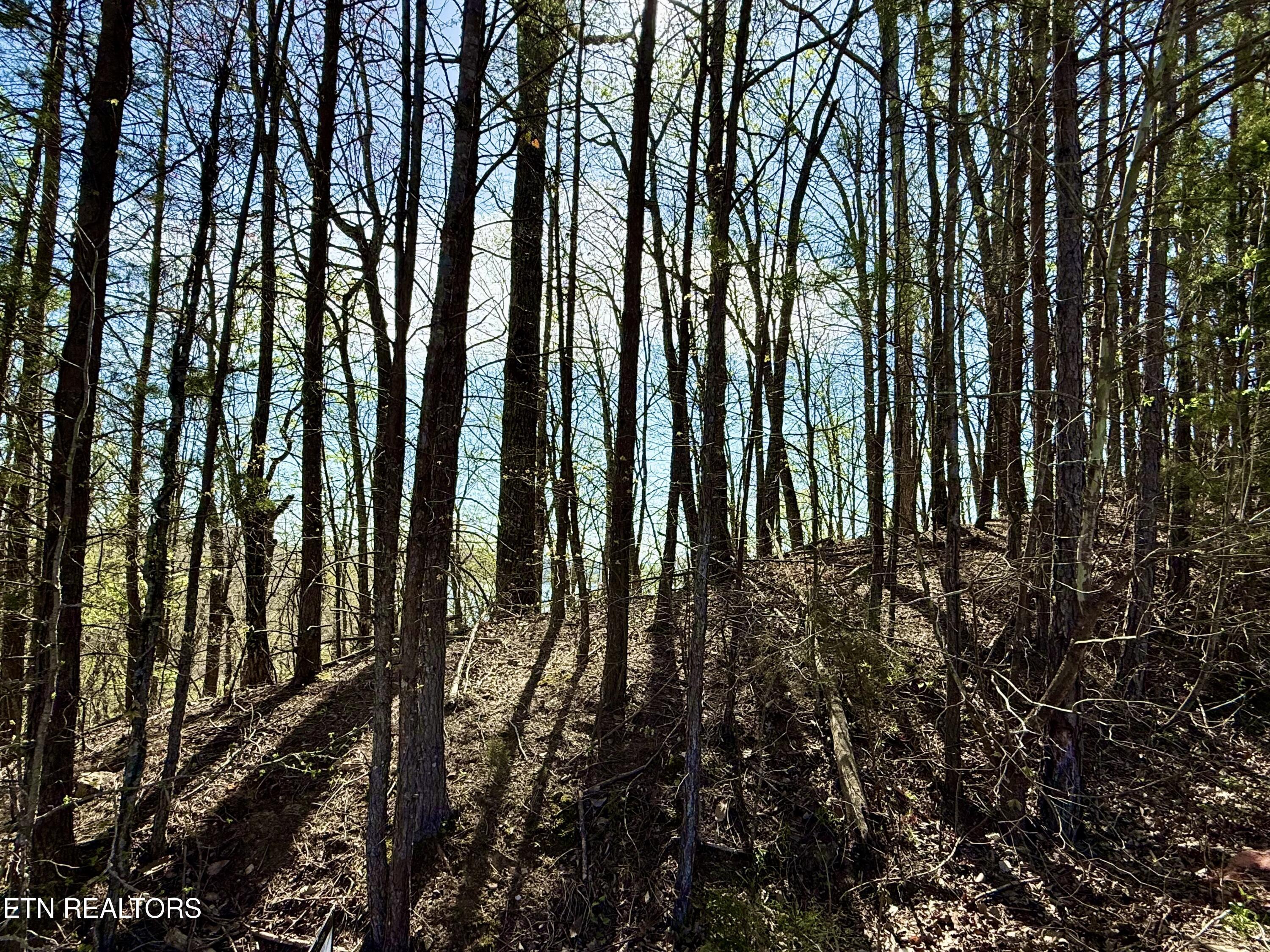 Image 4: IMG_1630