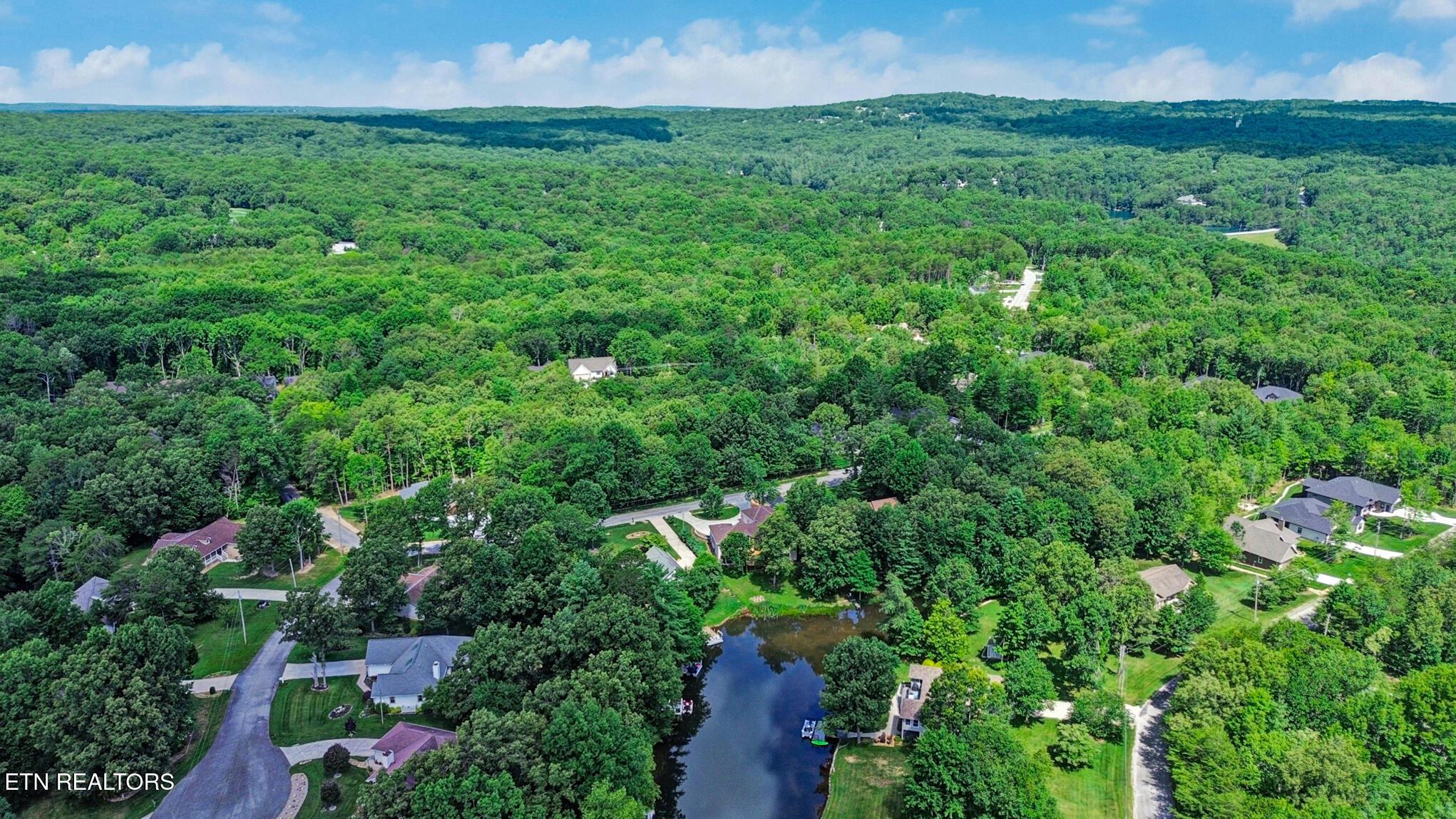 Image 4: Aerial view from lake