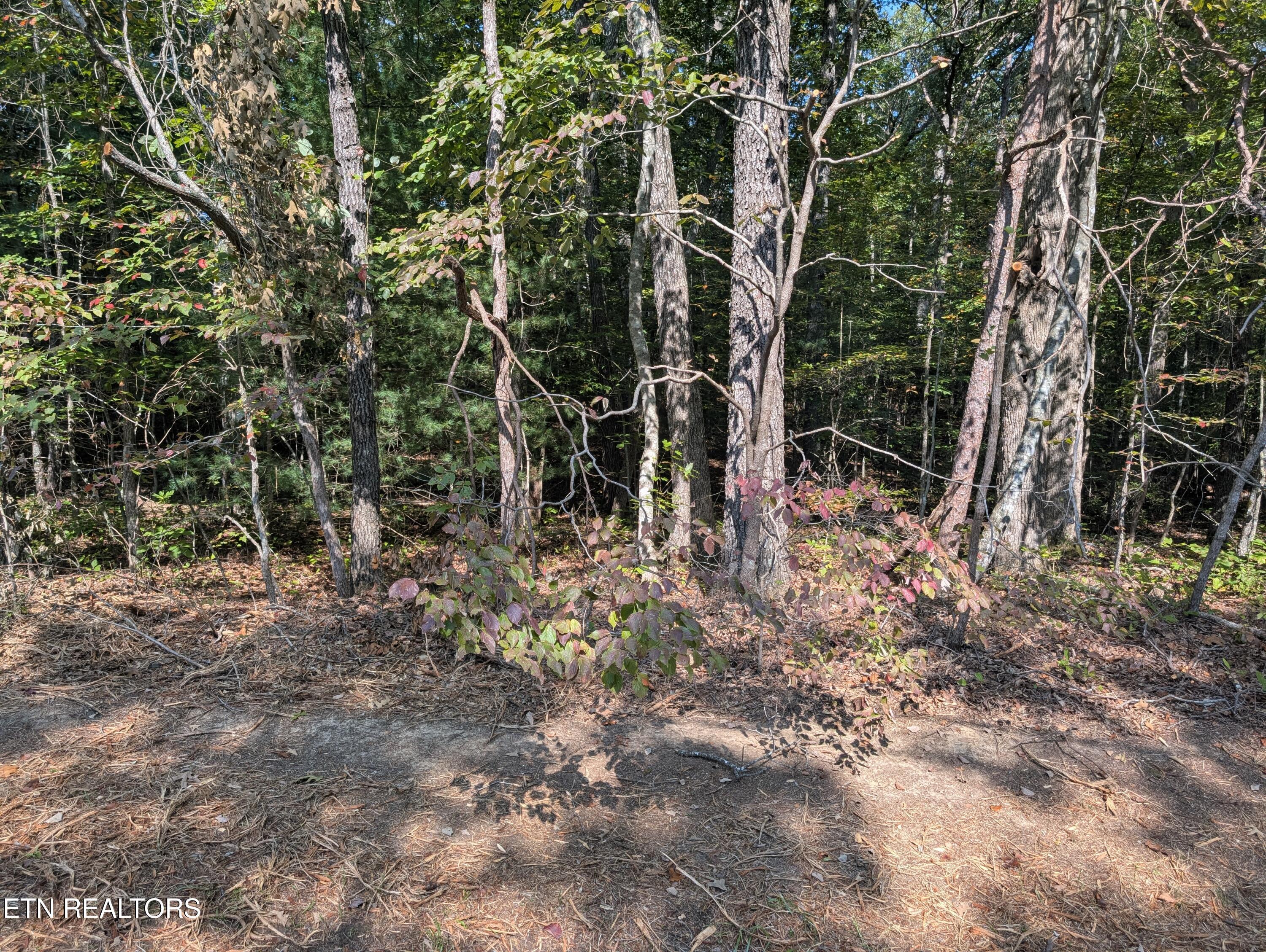 Image 4: Beachwood Dr Front