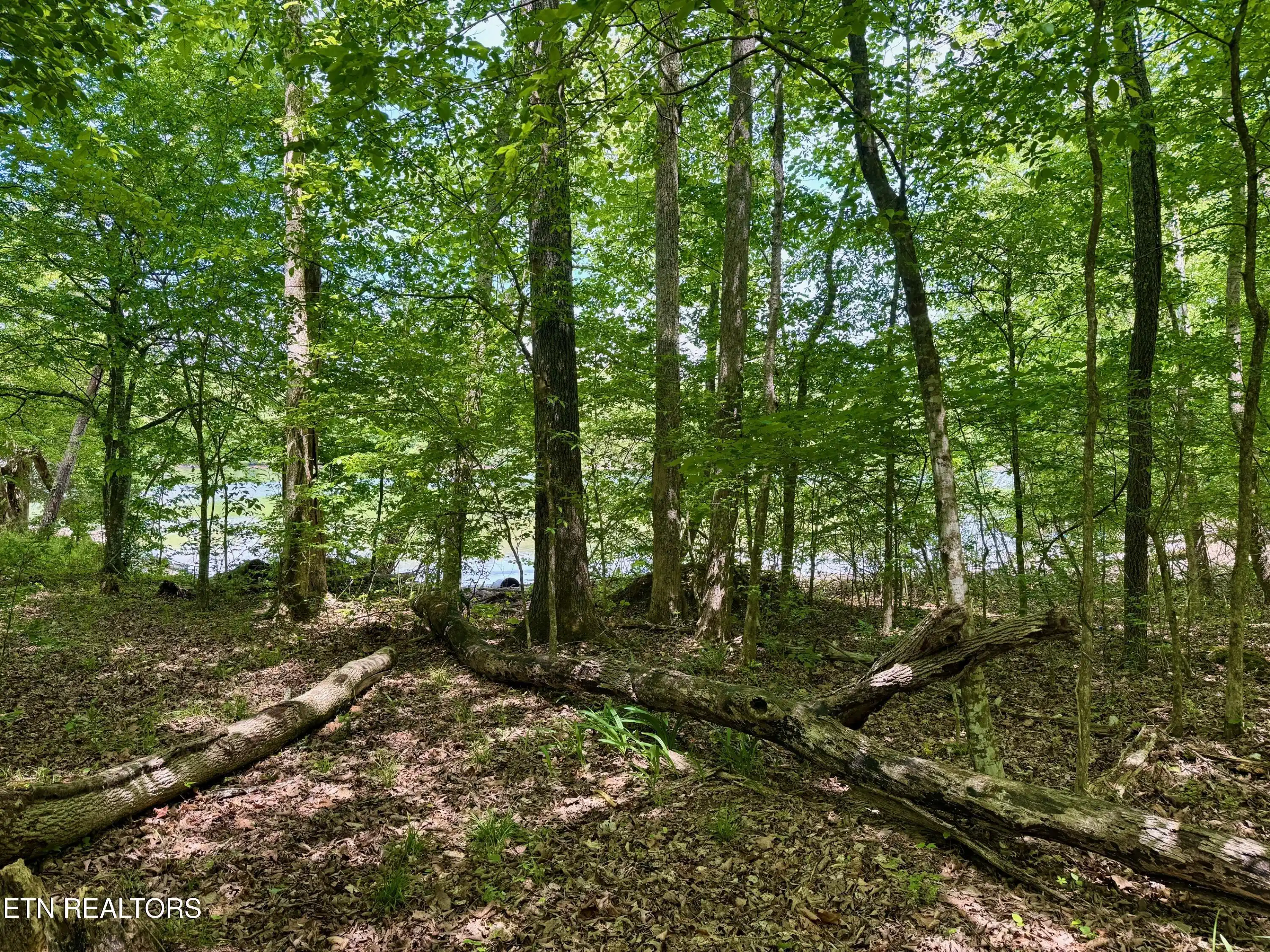 Image 1: 001