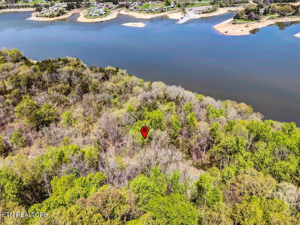 Image 4: Lot 34 5 Oaks Cir - 4