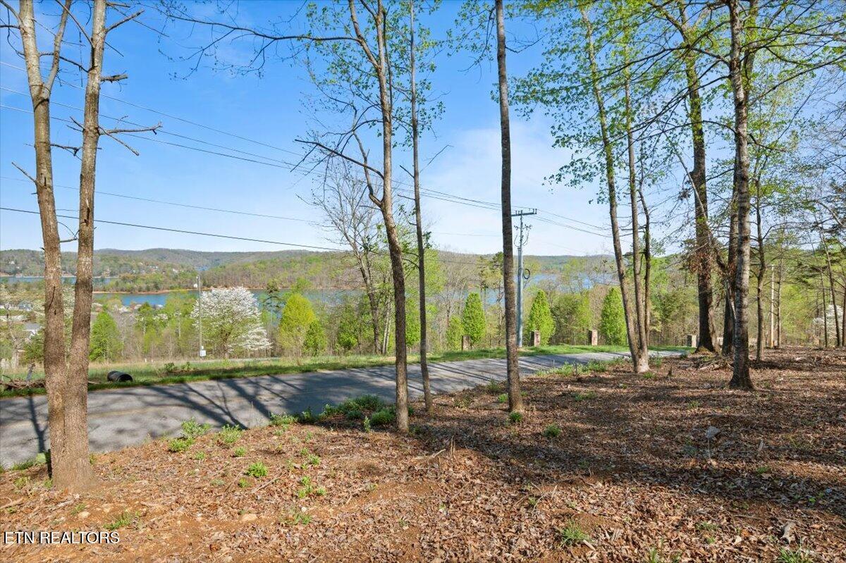 Image 4: 03-Demory Rd