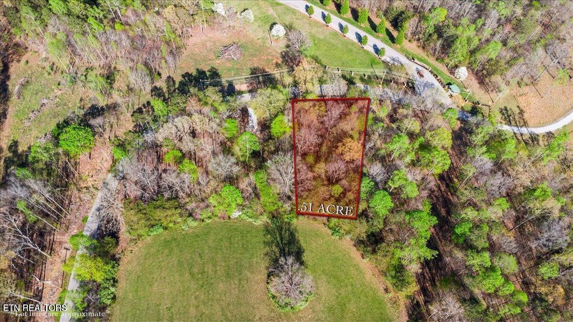 Image 1: Lot 15
