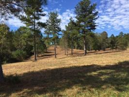 Lot 7 Ward Road 