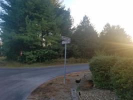 617 Tanasi Lane 4