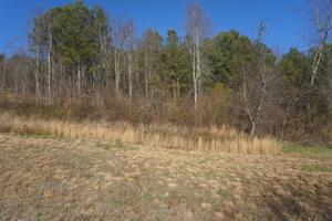 Lot 24r Overlook Way 24r