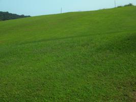 Lot 28 River Run Circle