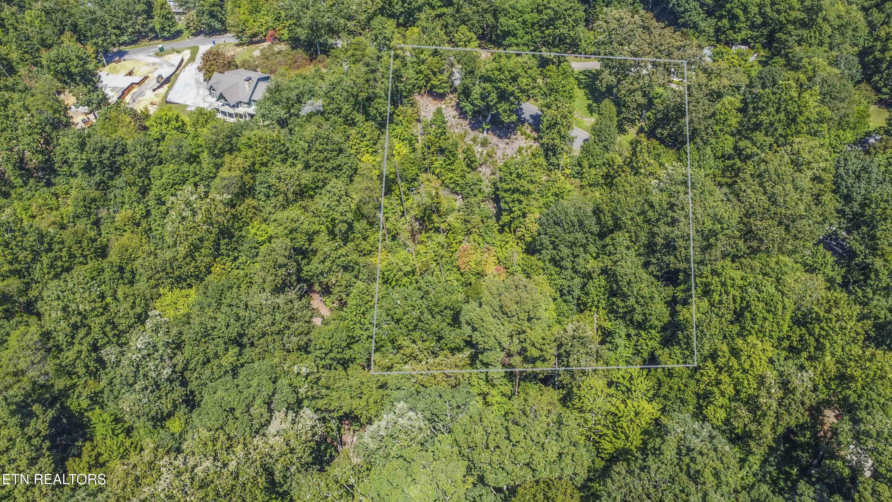 Image 4: drone 1_1