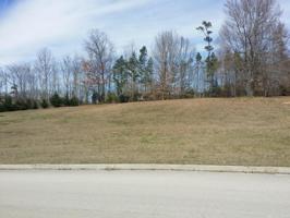 Baye Rd /131