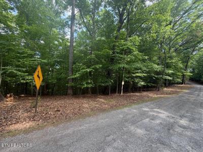 Beechwood Drive