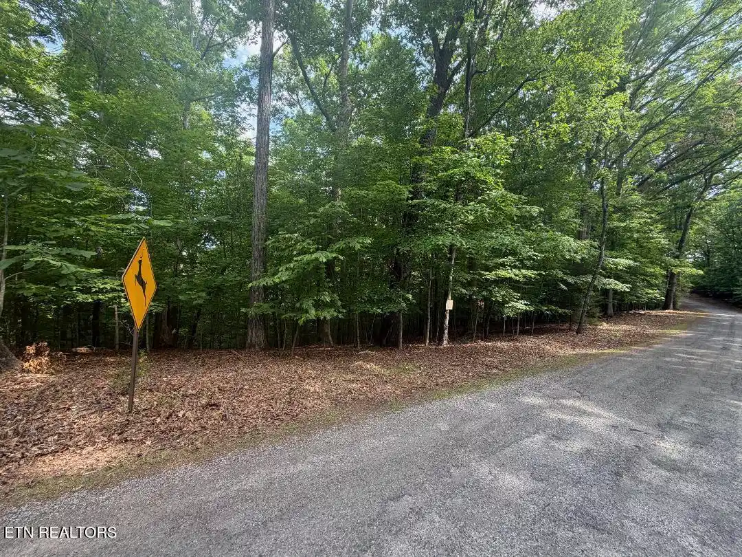 Image 1: lot3