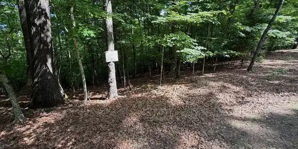 Image 2: lot 3 -2