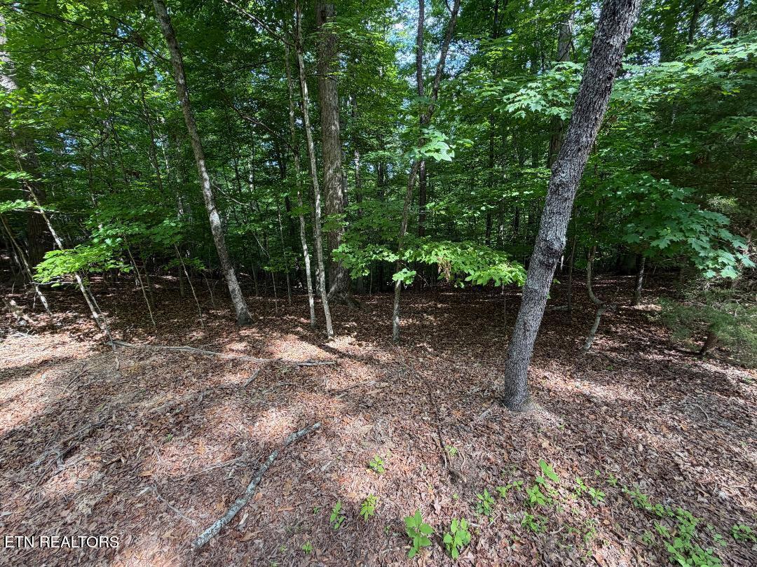 Image 3: lot 3-3