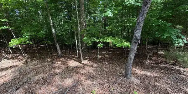Image 3: lot 3-3