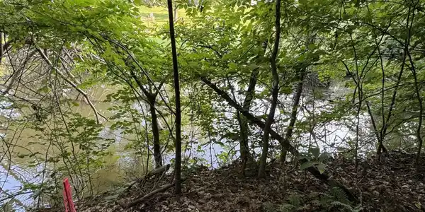 Image 3: Property Boundary