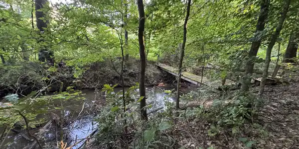 Image 4: Footbridge