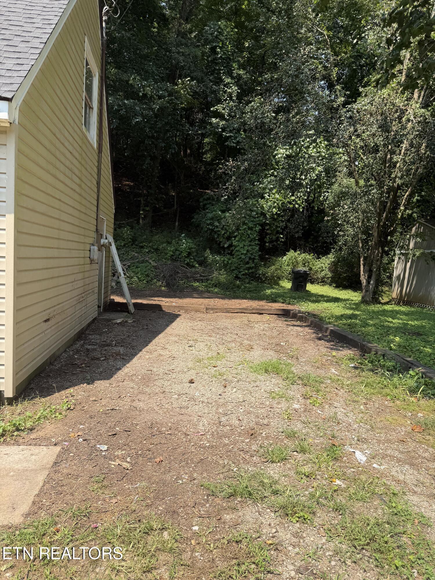 Image 3: IMG_2203