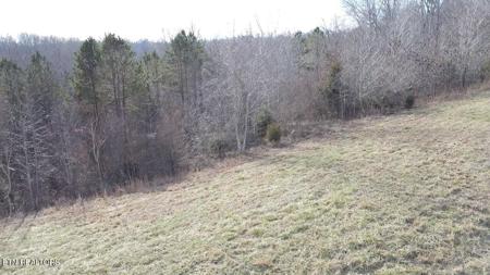 516 Cedar Gate Lane