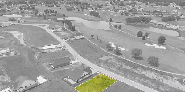 Image 4: black_bear_circle_loudon_tn_003-lines