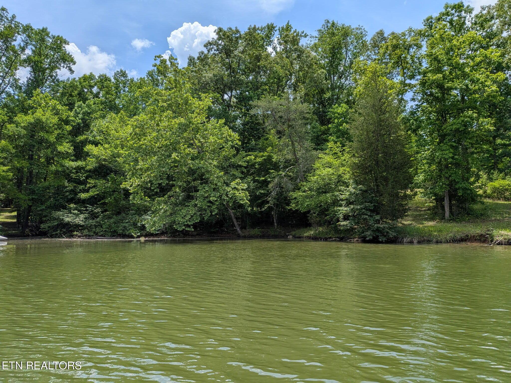Image 4: 004