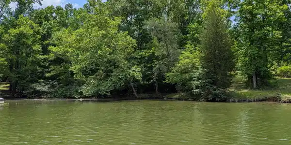 Image 4: 004