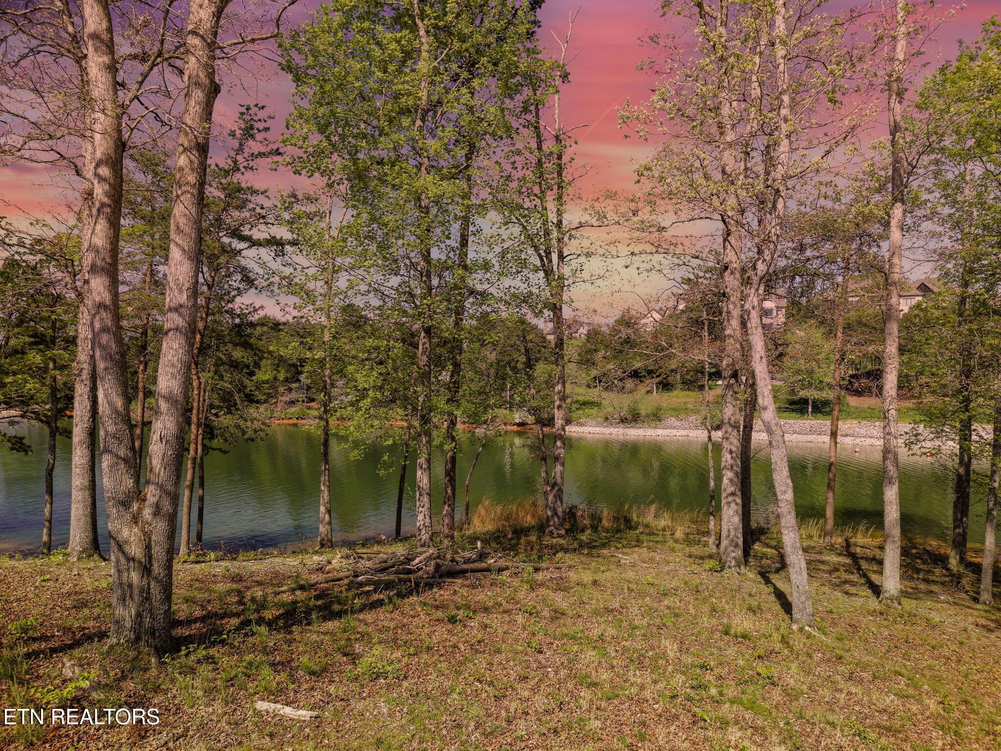 Image 3: 3-web-or-mls-003--FULL