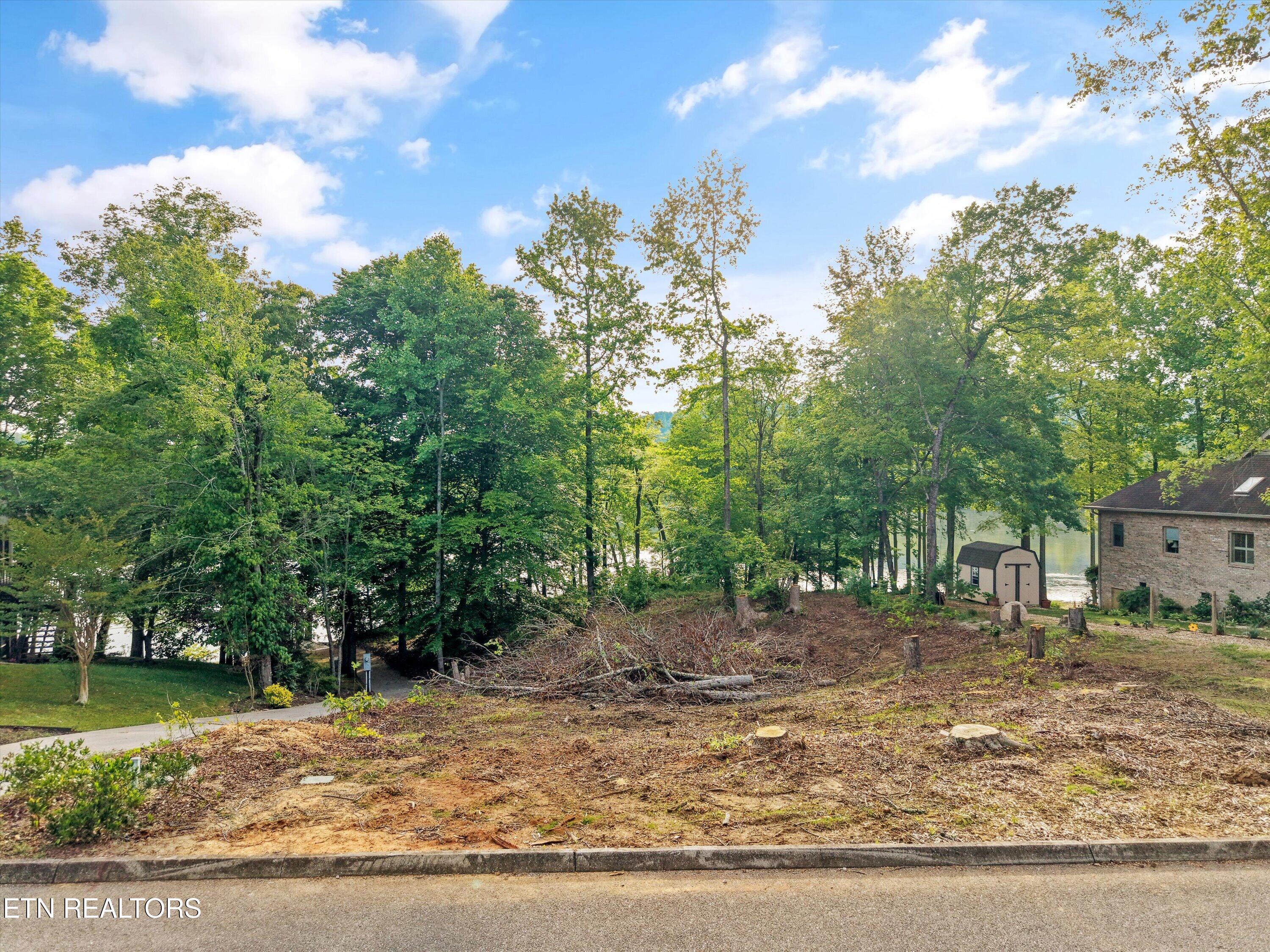 Image 4: 04-117 Osprey Drive01