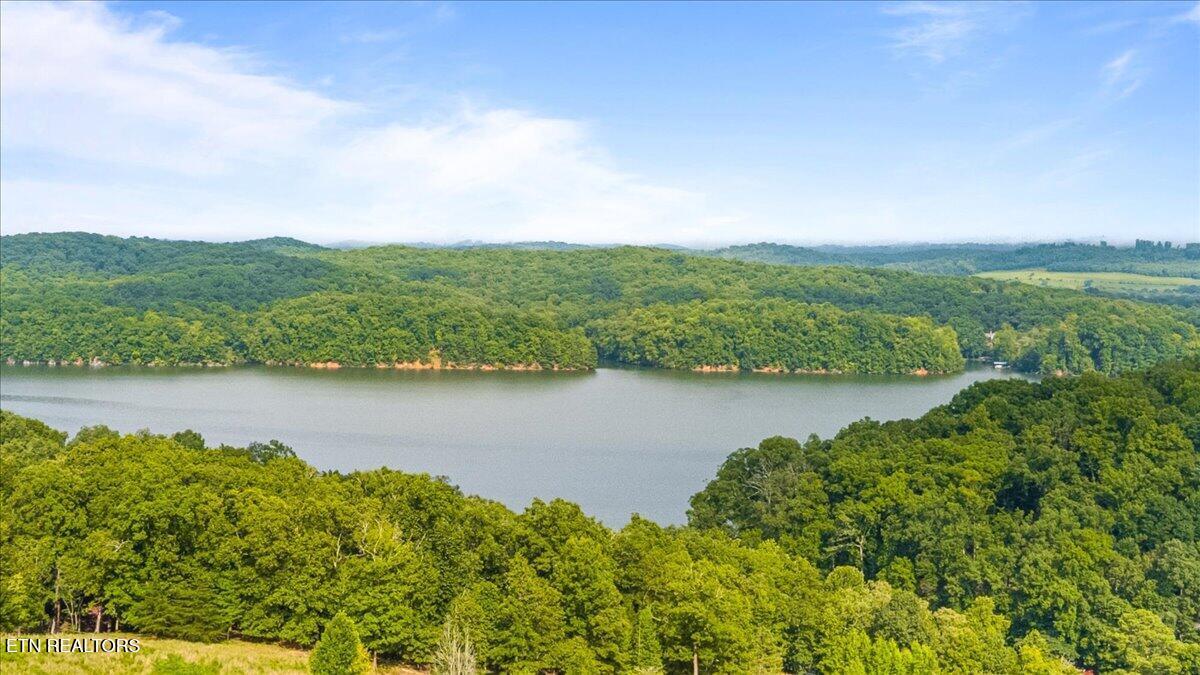 Image 4: 06-126 Emerald Pointe Cir