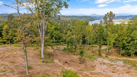 315 Tobby Hollow Lane