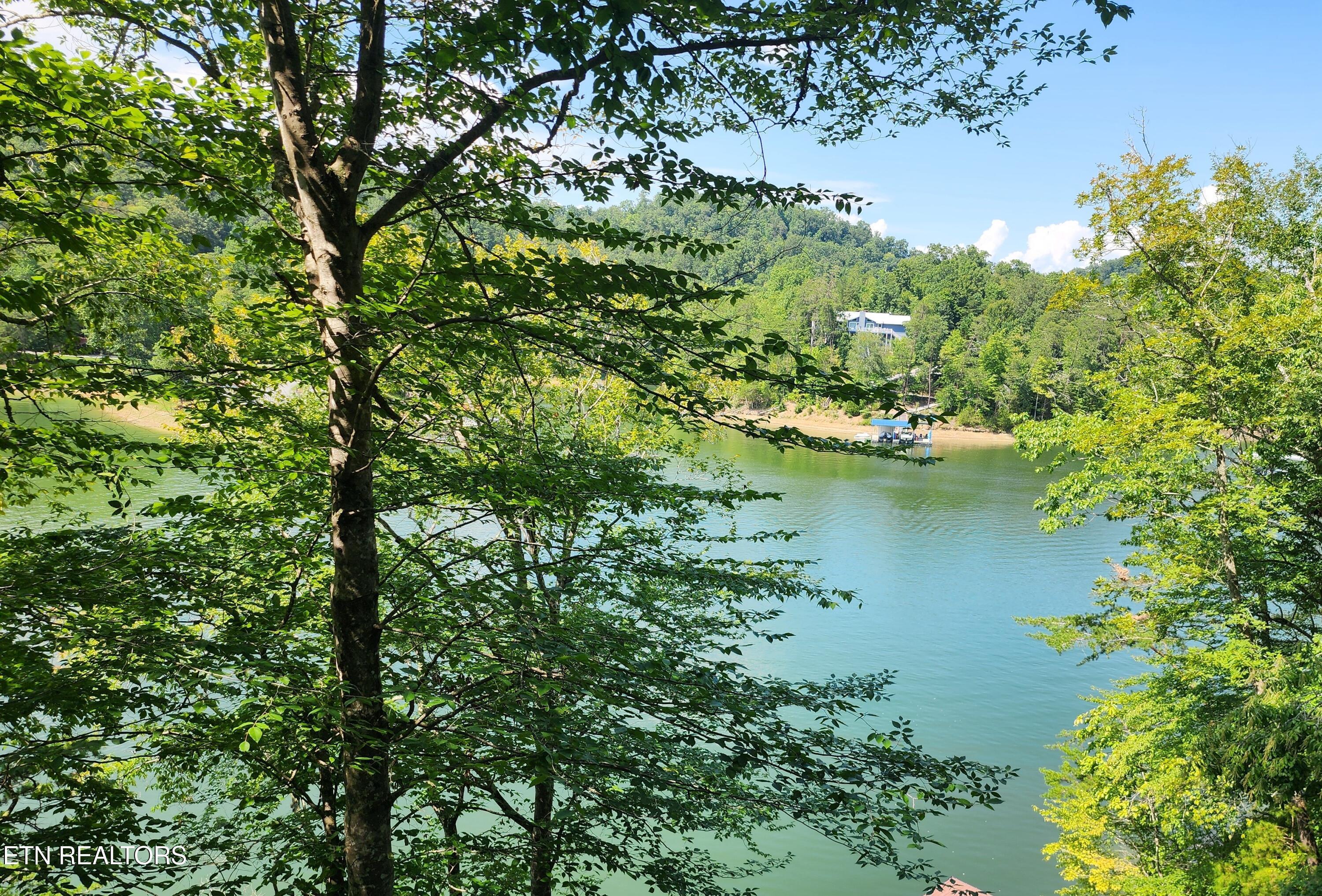 Image 2: A great view potential