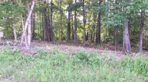 203 Lot 18 Block 6 Oohleeno Lane 18