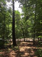 1171 Keetoowah Drive /29