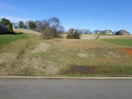 165 Killdeer Drive
