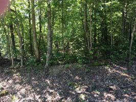 105 Birchwood Circle 439