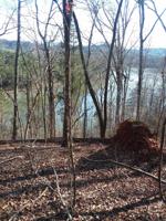 538 Scenic River Rd